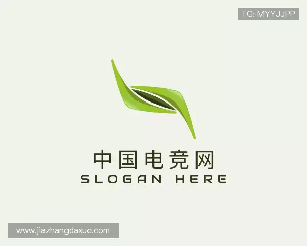 解读中国电竞网